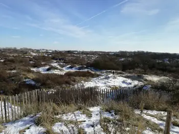 De Panne in de sneeuw (België)